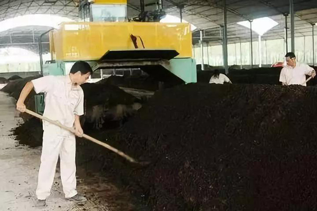 有機(jī)肥翻拋現(xiàn)場