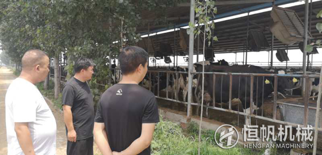 鄭州恒帆機械為溫縣客戶實地規(guī)劃年產(chǎn)三萬噸牛糞有機肥生產(chǎn)線項目(圖1) 鐘經(jīng)理在客戶的帶領下參觀牛養(yǎng)殖場